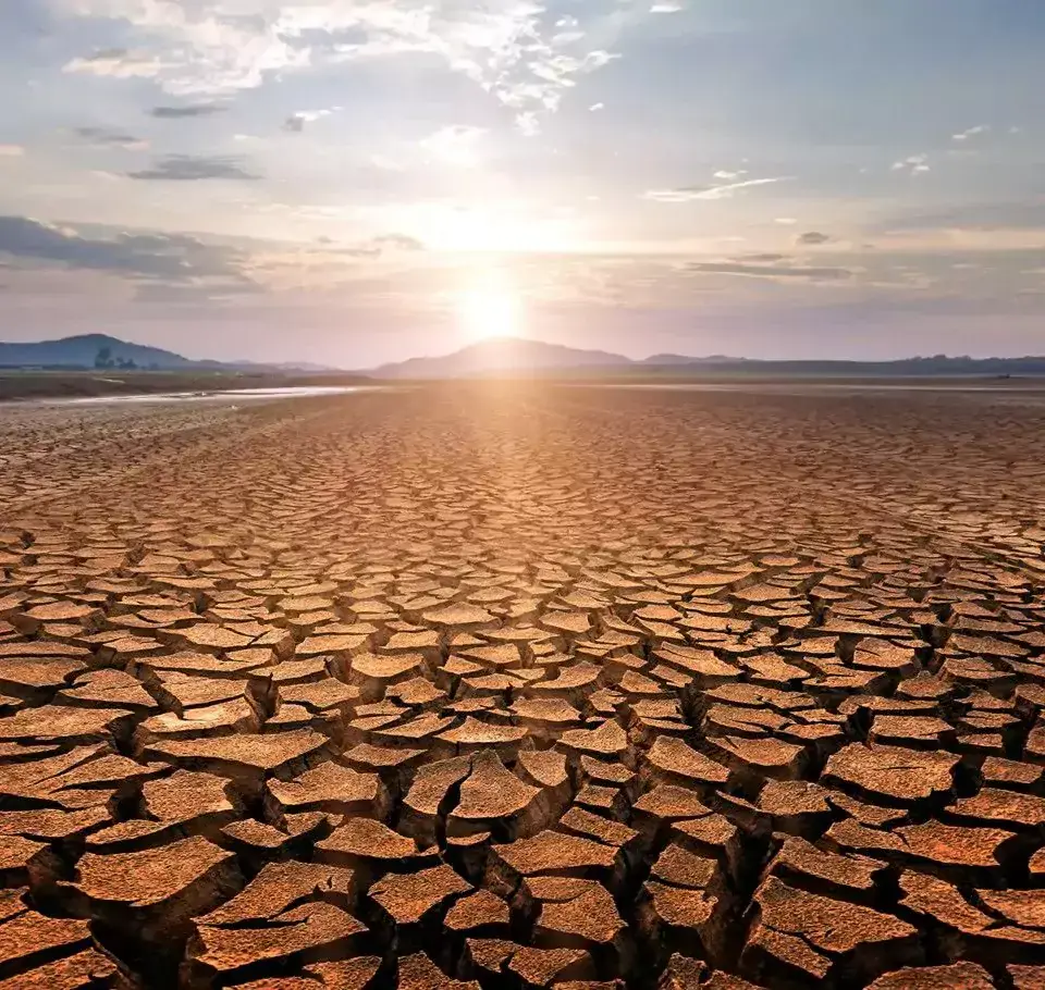 Why we must act